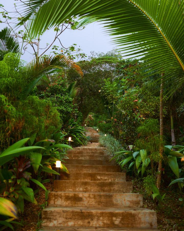 Vista Celestial Hotell Uvita Eksteriør bilde